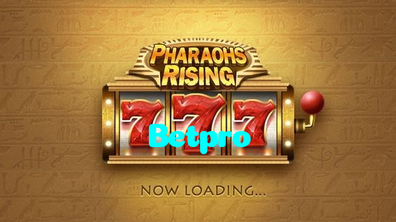 available types of Betpro bet including pre-match live express and system bets